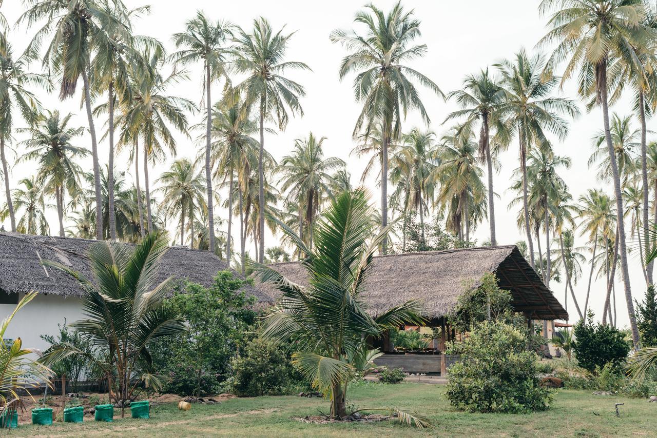 Luna Laguna Kalpitiya Exterior foto